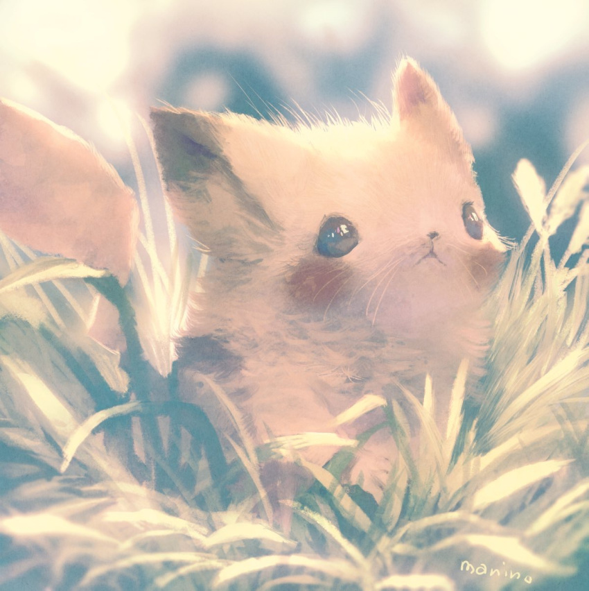 blurry creatures_(company) depth_of_field fur game_freak gen_1_pokemon grass highres manino_(mofuritaionaka) nintendo no_humans outdoors pikachu pokemon realistic signature solo