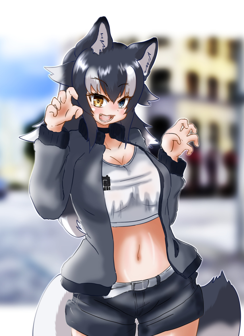 absurdres alternate_costume animal_ear_fluff animal_ears blush breasts city cleavage collarbone fang fzr332211 grey_wolf_(kemono_friends) heterochromia highres kemono_friends long_hair medium_breasts midriff multicolored_hair navel open_mouth outdoors paw_pose shorts tail two-tone_hair wolf_ears wolf_girl wolf_tail