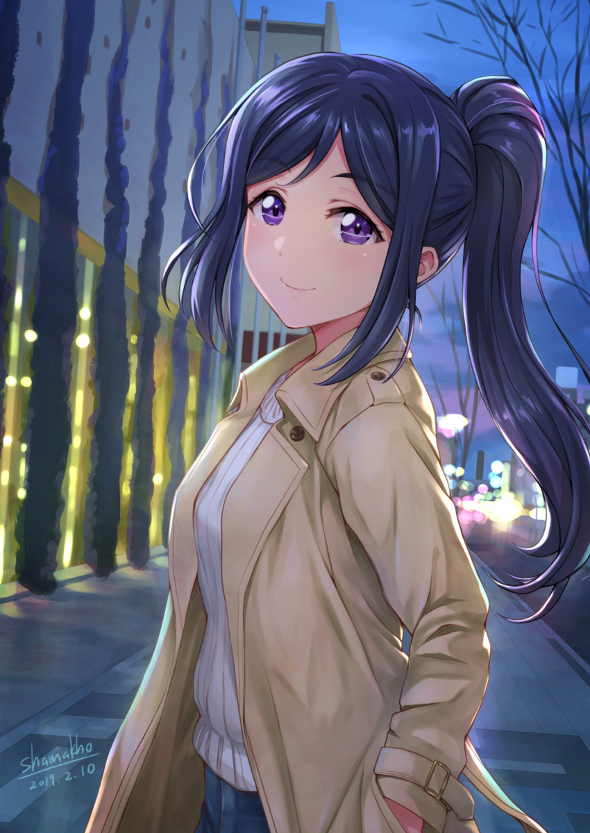 1girl artist_name bare_tree beige_coat blue_hair blurry bokeh building coat dated depth_of_field hand_in_pocket highres long_hair long_sleeves looking_at_viewer love_live! love_live!_sunshine!! matsuura_kanan night outdoors ponytail shamakho sidelocks smile solo sweater tree upper_body violet_eyes white_sweater
