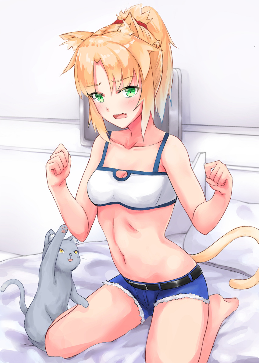 1girl animal animal_ears bare_arms bare_shoulders barefoot bed bed_sheet blonde_hair blue_shorts blush breasts cat cat_ears cat_paws cat_tail collarbone commentary_request eyebrows_visible_through_hair fang fate/grand_order fate_(series) green_eyes highres indoors kneeling maki_(pixiv9288678) mordred_(fate) mordred_(fate)_(all) navel on_bed paws pillow ponytail red_scrunchie scrunchie short_shorts shorts small_breasts solo tail white_pillow