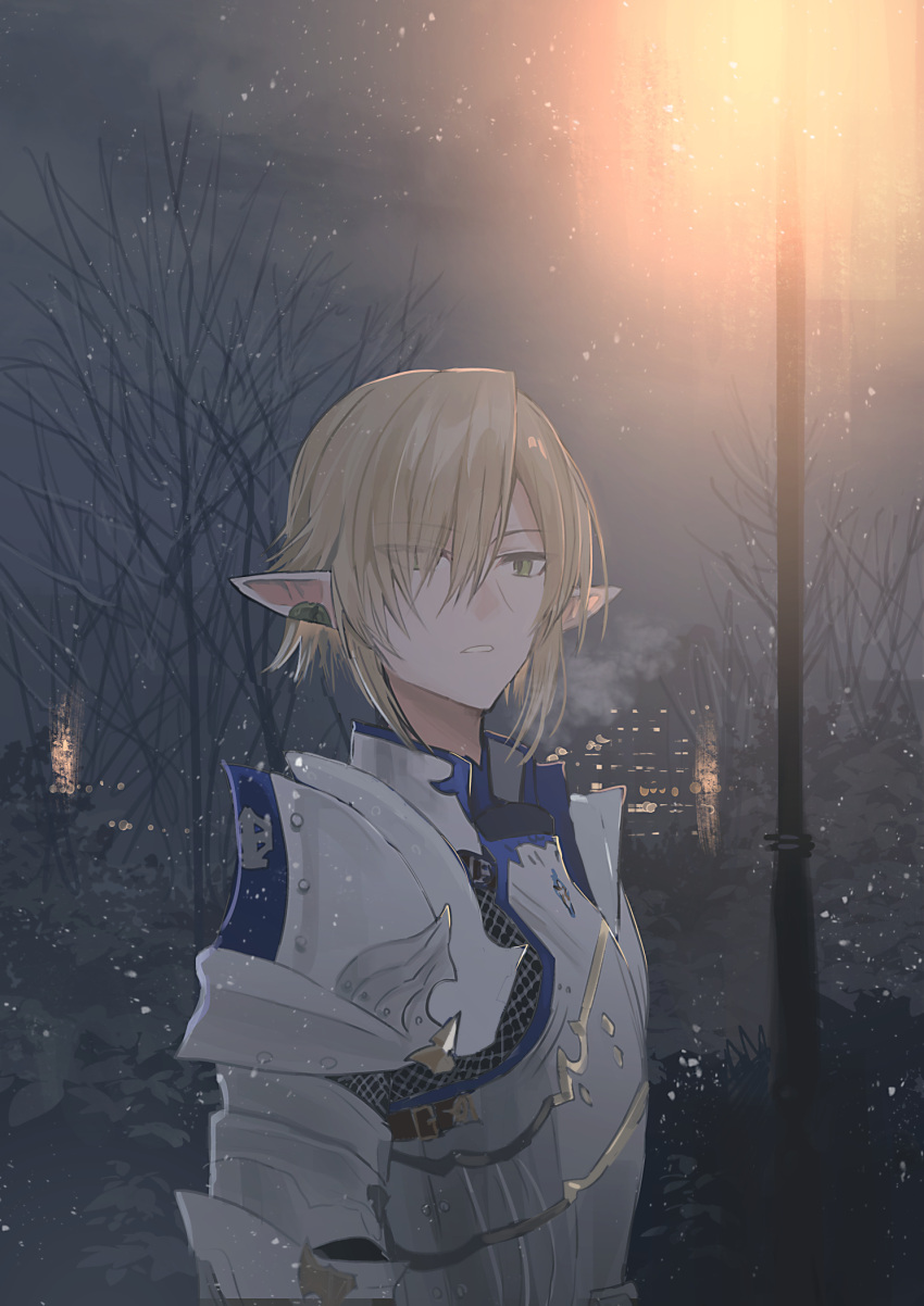 1boy armor bare_tree blonde_hair breastplate breath building chihuri elezen elf eyes_visible_through_hair final_fantasy final_fantasy_xiv from_side green_eyes hair_over_one_eye highres lamppost looking_to_the_side male_focus night night_sky outdoors parted_lips pauldrons pointy_ears revision shoulder_armor sky snowing solo tree upper_body zephirin_de_valhourdin