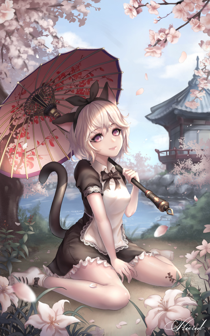 1girl absurdres animal_ears apron architecture bangs black_dress black_neckwear blade_&amp;_soul cat_ears cat_girl cat_tail cherry_blossoms clouds commission day dress east_asian_architecture flower frilled_skirt frills hairband highres kie_(wylee2212) korean_commentary lace-trimmed_apron lips looking_at_viewer lyn_(blade_&amp;_soul) maid_apron maid_headdress necktie outdoors parasol pond red_eyes short_hair short_sleeves sitting skirt sky smile solo tail tree umbrella wariza white_hair wing_collar