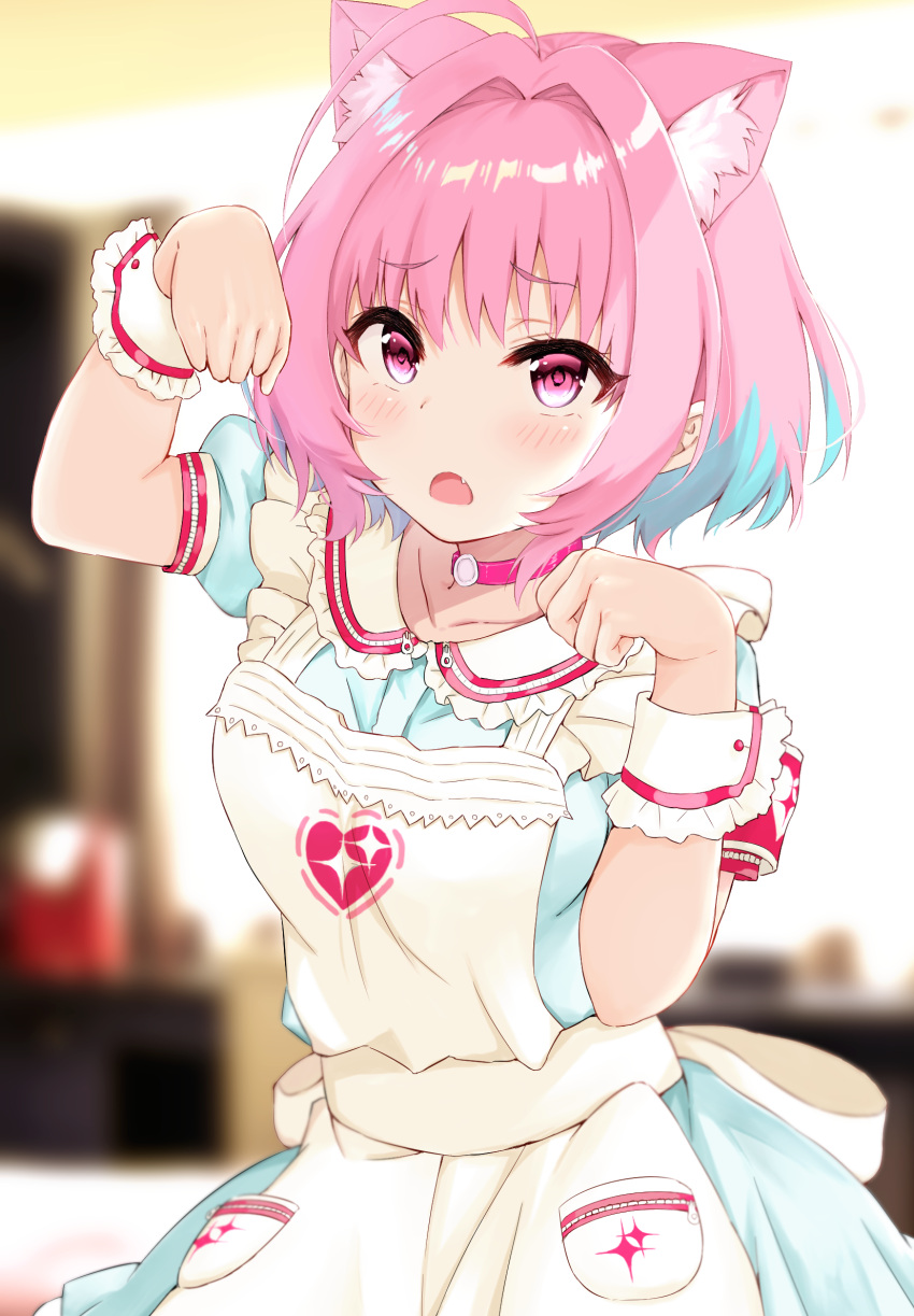 1girl :o ahoge animal_ear_fluff animal_ears apron aqua_dress aqua_hair armband blurry blurry_background blush cat_ears choker collarbone commentary_request depth_of_field dress fang hair_intakes hands_up haru_(re_ilust) heart highres idolmaster idolmaster_cinderella_girls kemonomimi_mode looking_at_viewer multicolored_hair open_mouth paw_pose pink_choker pink_eyes pink_hair puffy_short_sleeves puffy_sleeves sanpaku short_hair short_sleeves sidelocks solo standing tareme two-tone_hair upper_body white_apron wrist_cuffs yumemi_riamu