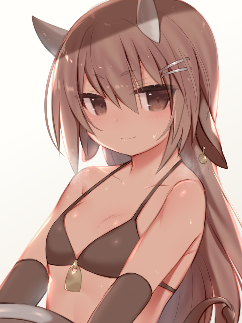 1girl animal_ears bangs bare_shoulders bikini blush breasts brown_background brown_bikini brown_eyes brown_gloves brown_hair closed_mouth commentary_request cow_ears cow_girl cow_horns cow_tail ear_piercing elbow_gloves eyebrows_visible_through_hair gloves hair_between_eyes highres horns mofuaki original piercing skindentation small_breasts smile solo swimsuit tail tail_raised upper_body