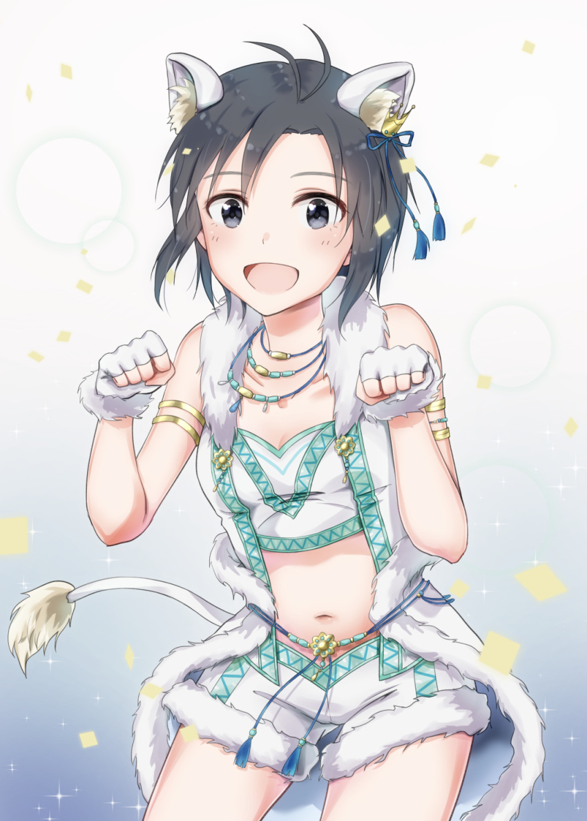 1girl animal_ears antenna_hair armlet black_hair blue_ribbon breasts cleavage collarbone cowboy_shot crown fingerless_gloves fur-trimmed_gloves fur-trimmed_shorts fur_trim gloves grey_background grey_eyes hair_between_eyes hair_ribbon highres idolmaster idolmaster_(classic) jewelry kikuchi_makoto lion_ears lion_tail midriff mini_crown mogskg navel necklace ribbon shiny shiny_hair short_hair short_shorts shorts simple_background sleeveless small_breasts solo standing stomach tail white_gloves white_shorts
