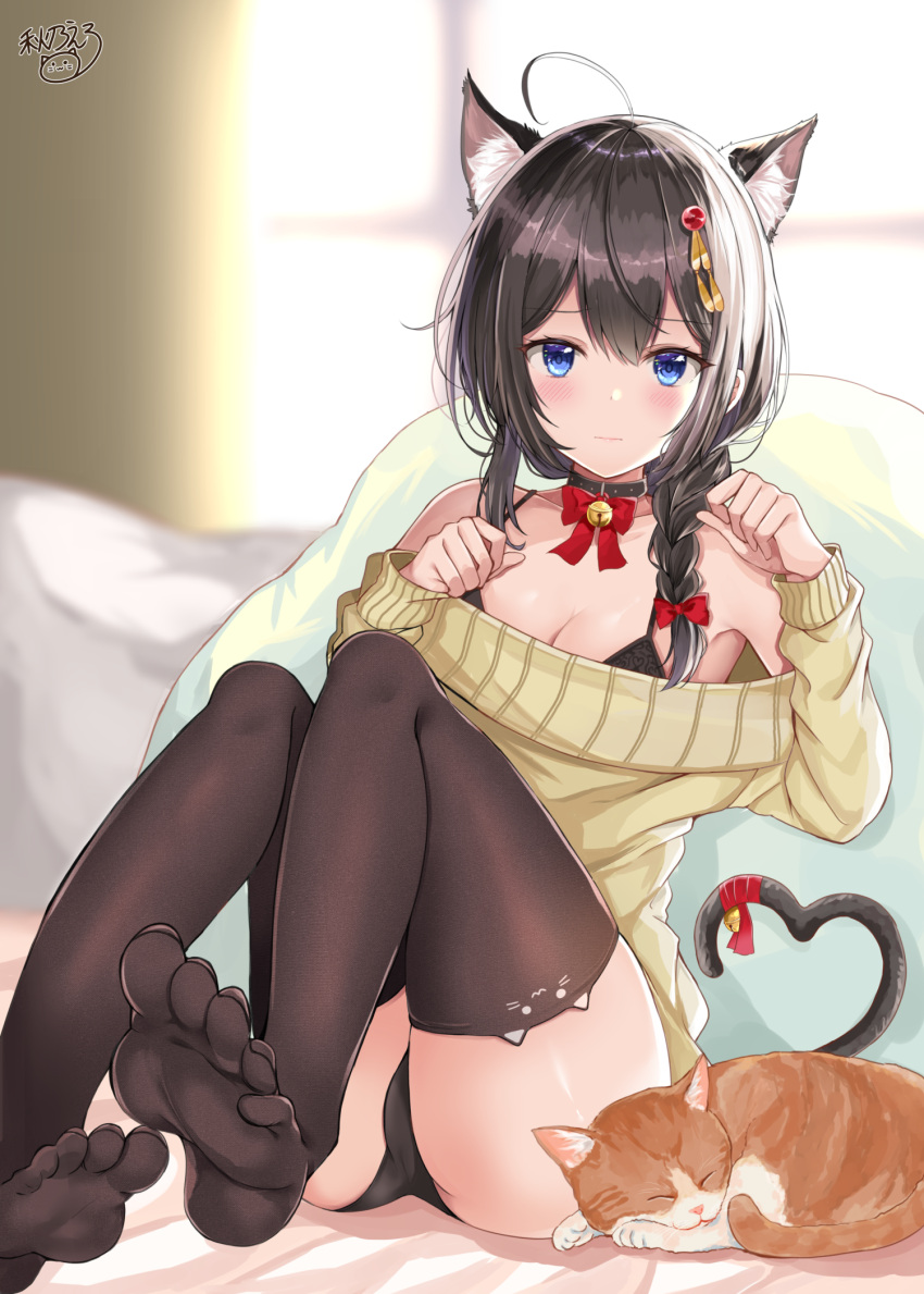 1girl ahoge alternate_costume animal animal_ears ass bangs bell bell_choker bell_collar black_bra black_hair black_panties blue_eyes blush bow bra braid breasts brown_legwear cat cat_ears cat_tail choker cleavage closed_mouth collar commentary_request eyebrows_visible_through_hair feet hair_between_eyes hair_flaps hair_ornament hair_over_shoulder hair_ribbon hairclip highres jingle_bell kantai_collection kemonomimi_mode looking_at_viewer medium_breasts noeru_(gt17854) on_bed panties paw_pose pillow red_bow red_ribbon ribbon shigure_(kantai_collection) single_braid sitting solo sweater tail thigh-highs underwear
