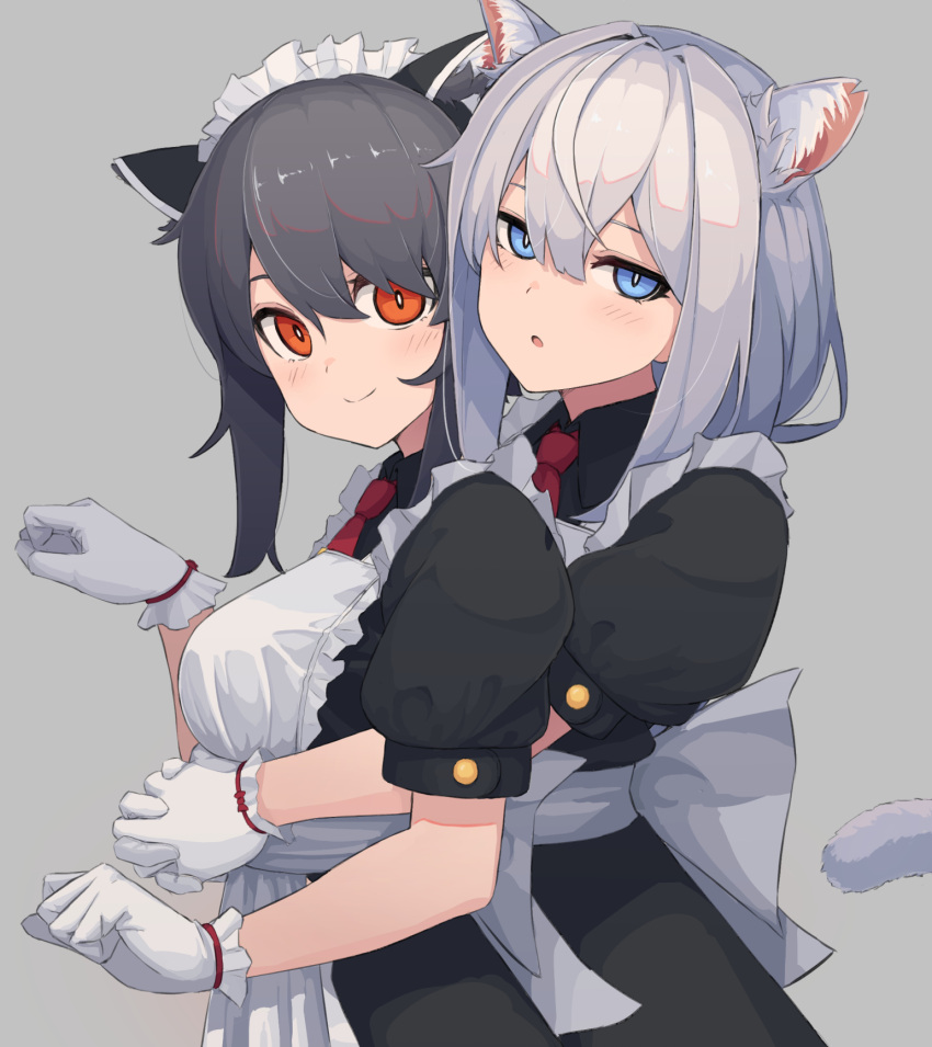 2girls animal_ear_fluff animal_ears apron black_hair blue_eyes cat_ears cat_tail commentary english_commentary gloves highres hug hug_from_behind jitome long_hair looking_at_viewer maid maid_apron maid_headdress multiple_girls orange_eyes original paw_pose puffy_short_sleeves puffy_sleeves short_hair_with_long_locks short_sleeves silver_hair simple_background tail upper_body white_gloves wozora