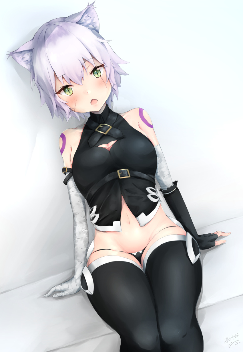 1girl absurdres animal_ears arm_belt arms_at_sides bandage bandaged_arm bandages bangs bare_shoulders belt_buckle black_legwear black_panties black_shirt blush breasts buckle cat_ears cleavage commentary covered_collarbone dutch_angle eyebrows_visible_through_hair facial_scar fang fate/apocrypha fate_(series) fingerless_gloves gloves green_eyes grey_hair groin hair_between_eyes head_tilt highres jack_the_ripper_(fate/apocrypha) legs_together looking_at_viewer lowleg lowleg_panties mabotofu medium_breasts navel open_mouth panties scar scar_across_eye scar_on_cheek shirt short_hair shoulder_tattoo signature single_glove sitting sleeveless sleeveless_shirt slit_pupils solo tattoo thigh-highs tsurime turtleneck underwear