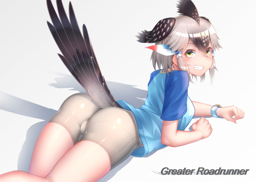 1girl absurdres arched_back arm_support ass bangs bare_arms bare_legs bike_shorts bird_tail bird_wings black_hair character_name crotch_seam feathers from_side greater_roadrunner_(kemono_friends) green_eyes grey_hair grin hair_ornament hair_tubes hairband head_wings highres impossible_clothes impossible_shorts kemono_friends looking_at_viewer looking_to_the_side lying medium_hair multicolored_hair on_stomach pantylines shadow shiny shiny_clothes shiny_hair shirt short_sleeves shorts sidelocks skin_tight skindentation smile solo st.takuma star wings