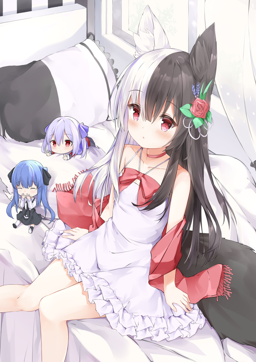 3girls :o absurdres alice_mana alice_mana_channel animal_ear_fluff animal_ears bangs bare_arms bare_shoulders black_bow black_footwear black_hair black_legwear black_skirt blue_hair blush bow choker closed_eyes closed_mouth collarbone commentary_request copyright_request curtains day dress eyebrows_visible_through_hair flower flying_sweatdrops fox_ears fox_girl fox_tail frilled_dress frills fringe_trim fuyuki030 hair_between_eyes hair_bow hair_flower hair_ornament highres indoors jacket long_hair long_sleeves looking_at_viewer minigirl mismatched_footwear mismatched_legwear multicolored_hair multiple_girls on_bed parted_lips pillow purple_bow purple_hair purple_jacket red_bow red_choker red_eyes red_flower red_rose red_scarf rose scarf shirt shoe_soles shoes short_over_long_sleeves short_sleeves sitting sitting_on_bed skirt sleeveless sleeveless_dress streaked_hair sunlight suspender_skirt suspenders tail thigh-highs transparent twintails two-tone_hair very_long_hair virtual_youtuber white_dress white_footwear white_hair white_legwear white_shirt window