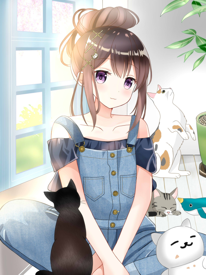 1girl :3 absurdres animal bangs bare_shoulders black_cat blue_shirt blush brown_hair cat cat_hair_ornament closed_mouth collarbone commentary_request eyebrows_visible_through_hair hair_between_eyes hair_bun hair_ornament head_tilt highres indoors looking_at_viewer off-shoulder_shirt off_shoulder on_floor original overalls plant potted_plant ryoutan shirt short_sleeves sidelocks sitting smile solo violet_eyes window wooden_floor x_hair_ornament