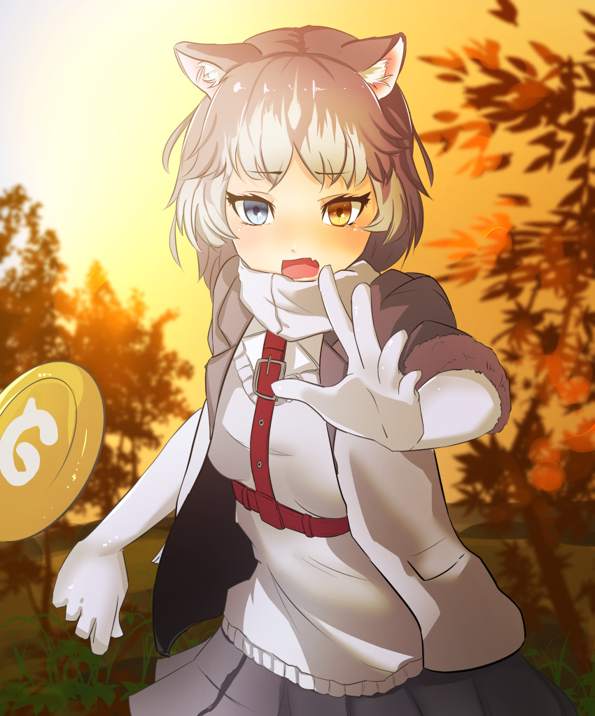 1girl absurdres animal_ear_fluff animal_ears blue_eyes commentary_request dog_(mixed_breed)_(kemono_friends) dog_ears dog_tail elbow_gloves eyebrows_visible_through_hair fang frisbee fur_trim gloves grey_hair harness heterochromia highres jacket kemono_friends multicolored_hair open_mouth pleated_skirt scarf short_hair short_sleeves skirt solo sweater tail tearing_up white_hair yellow_eyes yoojp