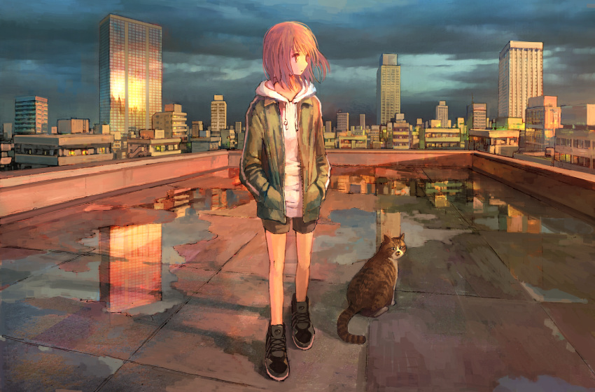 1girl cat cityscape commentary hands_in_pockets highres hood hoodie looking_to_the_side orange_hair original outdoors reflection rooftop scenery short_hair short_shorts shorts sunset tokunaga_akimasa wet_ground