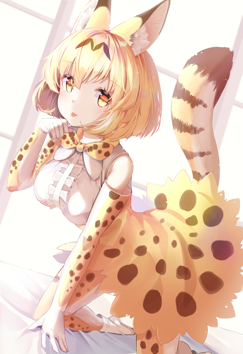 1girl :p absurdres animal_ear_fluff animal_ears animal_ears_(artist) bare_shoulders blonde_hair blush boots bow bowtie center_frills commentary_request elbow_gloves eyebrows_visible_through_hair gloves high-waist_skirt highres kemono_friends kneeling multicolored_hair on_bed paw_pose print_gloves print_legwear print_neckwear print_skirt serval_(kemono_friends) serval_ears serval_print serval_tail short_hair skirt sleeveless solo tail thigh-highs tongue tongue_out yellow_eyes zettai_ryouiki