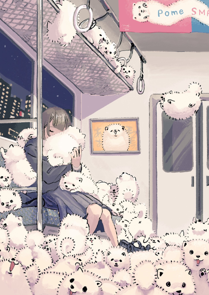 1girl animal animal_hug bangs blunt_bangs closed_eyes door fluffy grey_bag grey_hair grey_skirt highres long_sleeves looking_at_viewer medium_hair night night_sky open_mouth original puppy sitting skirt sky solo too_many train_interior window yukinojo63