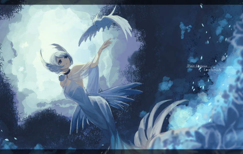 1girl animal animal_on_shoulder bird blue_dress blue_eyes code-glove copyright_name day dress dutch_angle gradient_dress hand_up head_wings highres looking_up outdoors pixiv_fantasia_last_saga short_hair sienna_(pixiv_fantasia_last_saga) solo standing white_dress white_hair