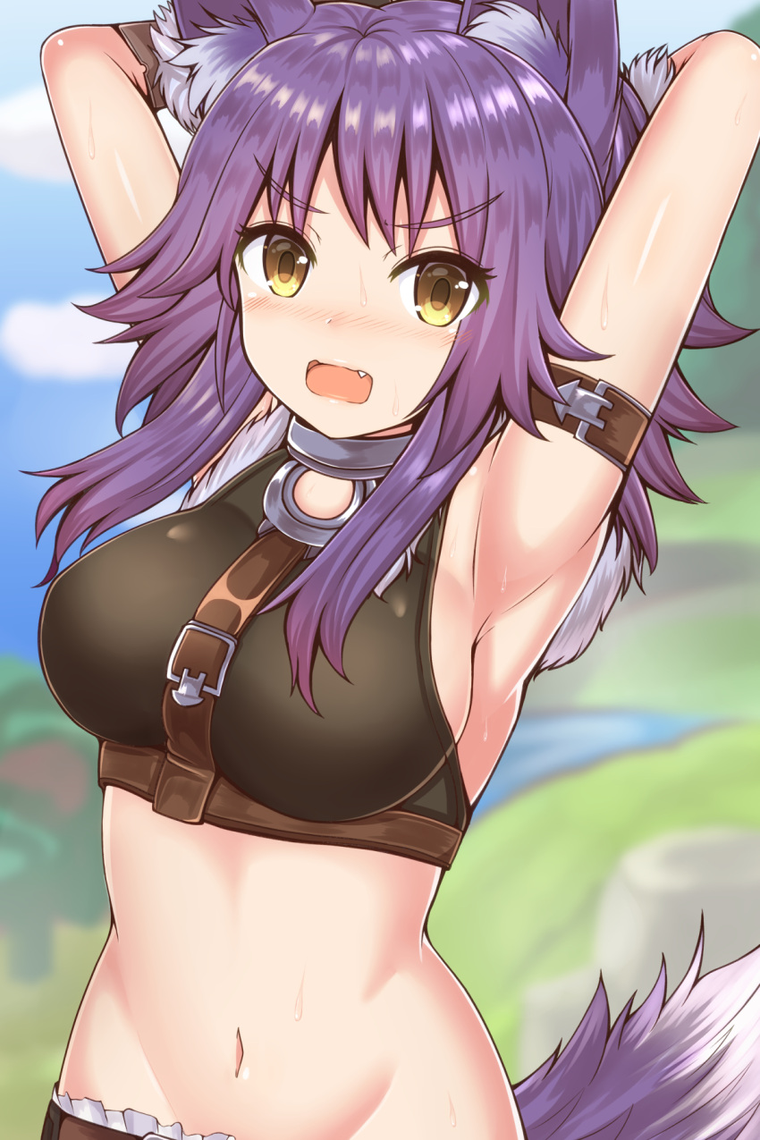 1girl aki_makoto animal_ear_fluff animal_ears armpits arms_behind_head bare_arms bare_shoulders blurry blurry_background blush breasts clouds commentary_request crop_top day depth_of_field eyebrows_visible_through_hair fang frown groin highres large_breasts looking_at_viewer masa_masa medium_hair midriff navel open_mouth outdoors princess_connect! princess_connect!_re:dive purple_hair sleeveless solo stomach sweat tail upper_body v-shaped_eyebrows wolf_ears wolf_tail yellow_eyes