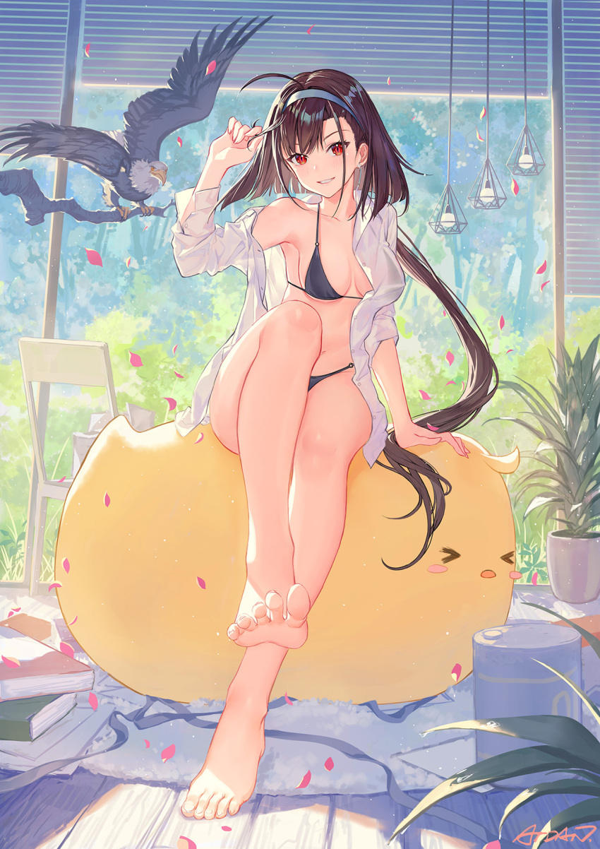 &gt;_&lt; 1girl ahoge animal arm_support arm_up atdan azur_lane bad_perspective bangs barefoot bikini bird black_bikini blue_hairband blush book breasts brown_hair chair chick cleavage closed_eyes collarbone commentary day dress_shirt eagle earrings english_commentary eyebrows_visible_through_hair feet full_body grin hair_ornament hairband highres independence_(azur_lane) indoors jewelry large_breasts legs long_hair long_sleeves looking_at_viewer low_ponytail medium_breasts navel o-ring o-ring_bikini o-ring_top open_clothes open_shirt parted_lips petals ponytail red_eyes shirt signature sitting sitting_on_animal slit_pupils smile solo swimsuit toenails toes tree_branch very_long_hair white_shirt wooden_floor