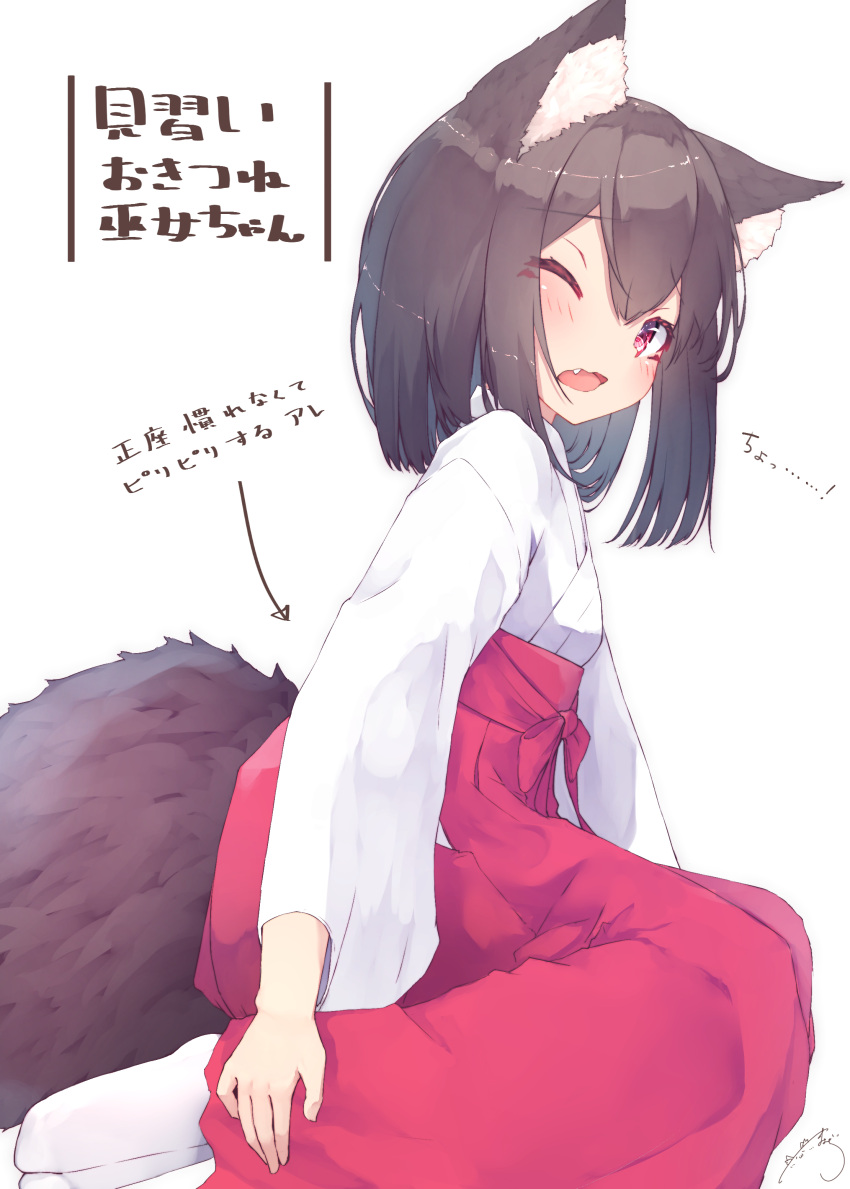 1girl absurdres animal_ear_fluff animal_ears bangs blush brown_hair commentary_request directional_arrow eyebrows_visible_through_hair fang hair_between_eyes hakama highres japanese_clothes kimono long_hair long_sleeves looking_at_viewer mayogii miko no_shoes one_eye_closed open_mouth original red_eyes red_hakama signature simple_background socks solo tabi tail translation_request white_background white_kimono white_legwear wide_sleeves