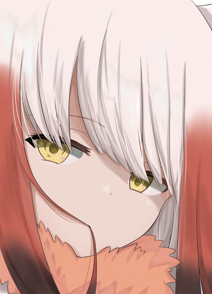 1girl bangs blunt_bangs brown_hair closed_mouth commentary_request eyebrows_visible_through_hair face fur_collar gradient_hair hair_in_mouth highres japanese_crested_ibis_(kemono_friends) kemono_friends long_hair looking_at_viewer multicolored_hair redhead solo user_pejx4755 white_hair yellow_eyes