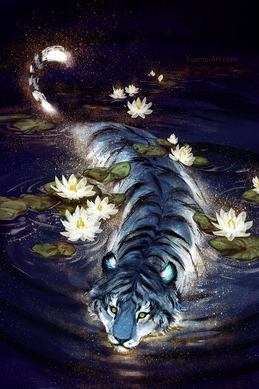commentary english_commentary flower glowing highres light_particles lily_(flower) lily_pad night no_humans original partially_submerged ripples tiger water wenqing_yan