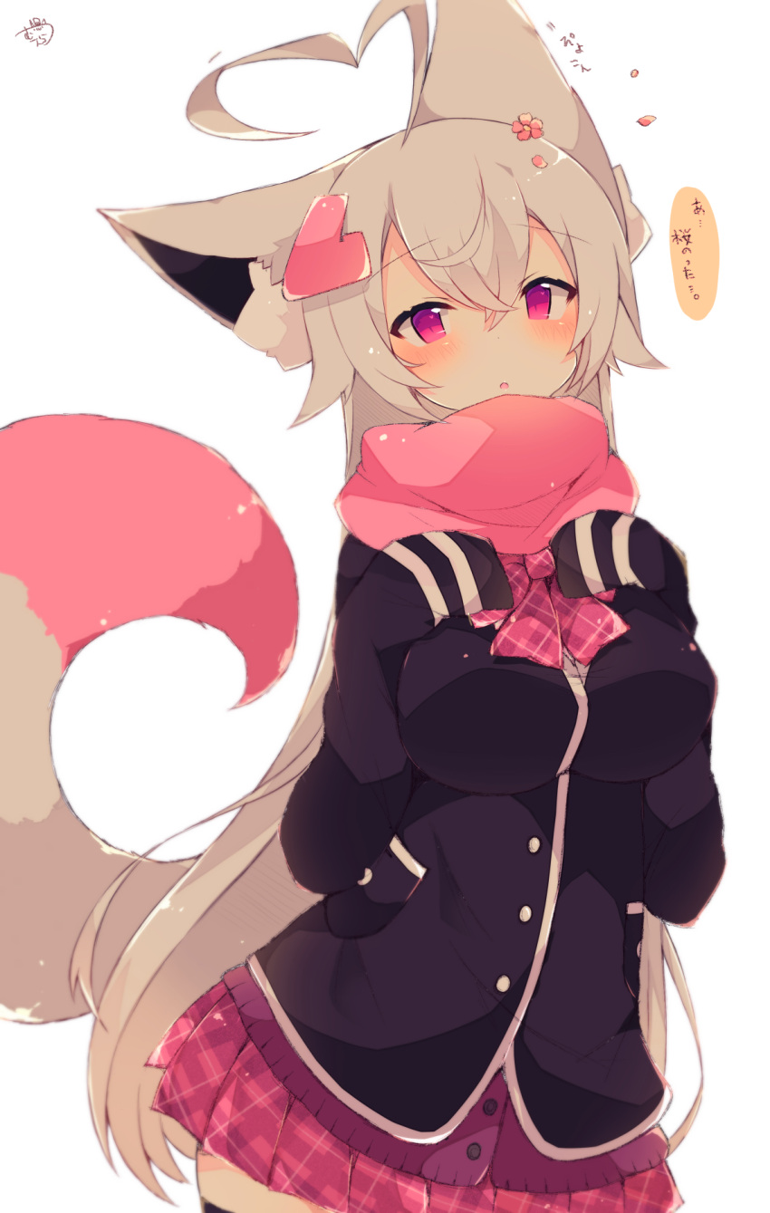 1girl :o ahoge animal_ear_fluff animal_ears bangs black_jacket black_legwear blazer blush breasts cardigan commentary_request eyebrows_visible_through_hair flower fox_ears fox_girl fox_tail grey_hair hair_between_eyes hair_flower hair_ornament hands_up heart heart_ahoge heart_hair_ornament highres jacket large_breasts long_hair long_sleeves looking_at_viewer muuran original parted_lips petals pink_skirt plaid plaid_skirt pleated_skirt purple_cardigan red_flower signature simple_background skirt sleeves_past_fingers sleeves_past_wrists solo tail tail_raised thigh-highs translation_request very_long_hair violet_eyes white_background