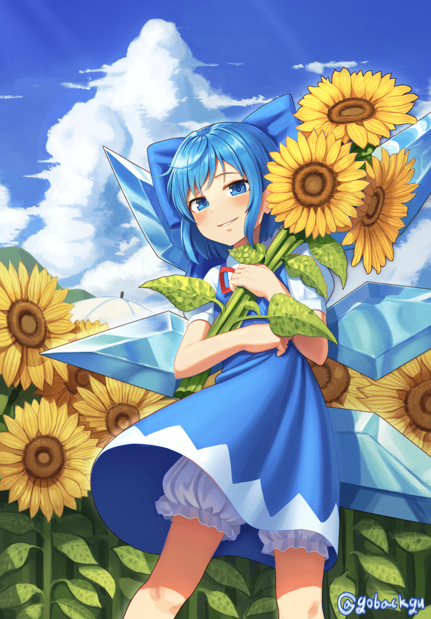 1girl absurdres artist_name bangs bloomers blue_bow blue_dress blue_eyes blue_hair blue_sky blush bow cirno clouds commentary_request day dress feet_out_of_frame field flower flower_field goback grin hair_bow highres holding holding_flower ice ice_wings leaf looking_at_viewer neck_ribbon outdoors parted_lips pinafore_dress puffy_short_sleeves puffy_sleeves red_neckwear red_ribbon ribbon shirt short_hair short_sleeves sidelocks sky smile solo standing sunflower touhou twitter_username umbrella underwear white_bloomers white_shirt white_umbrella wings