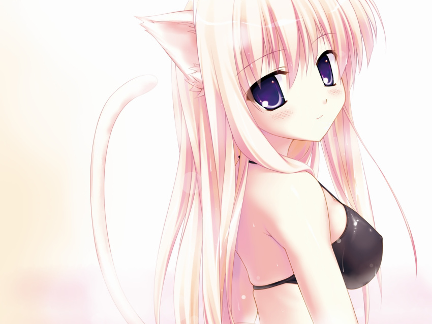 bikini blonde_hair blush cat_ears catgirl fujisaki_rei highres long_hair purple_eyes swimsuit tail wallpaper