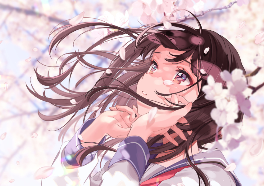 1girl adjusting_hair bangs branch brown_eyes brown_hair cherry_blossoms commentary_request eyebrows_visible_through_hair flower highres long_hair looking_up magnolia original parted_lips petals sailor_collar school_uniform serafuku shigure_ui solo