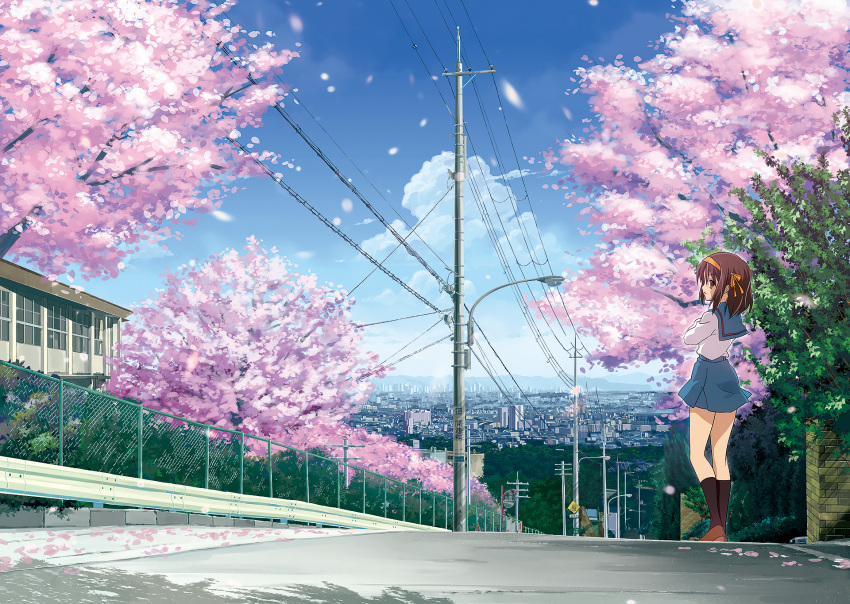 1girl brown_eyes brown_footwear brown_hair brown_legwear cherry_blossoms cityscape closed_mouth clouds cloudy_sky commentary_request day eyebrows_visible_through_hair from_behind hair_ornament hairband highres kita_high_school_uniform long_sleeves looking_at_viewer looking_back nanabuluku outdoors power_lines sailor_collar scenery school_uniform serafuku shirt shoes short_hair skirt sky solo suzumiya_haruhi suzumiya_haruhi_no_yuuutsu tree white_shirt