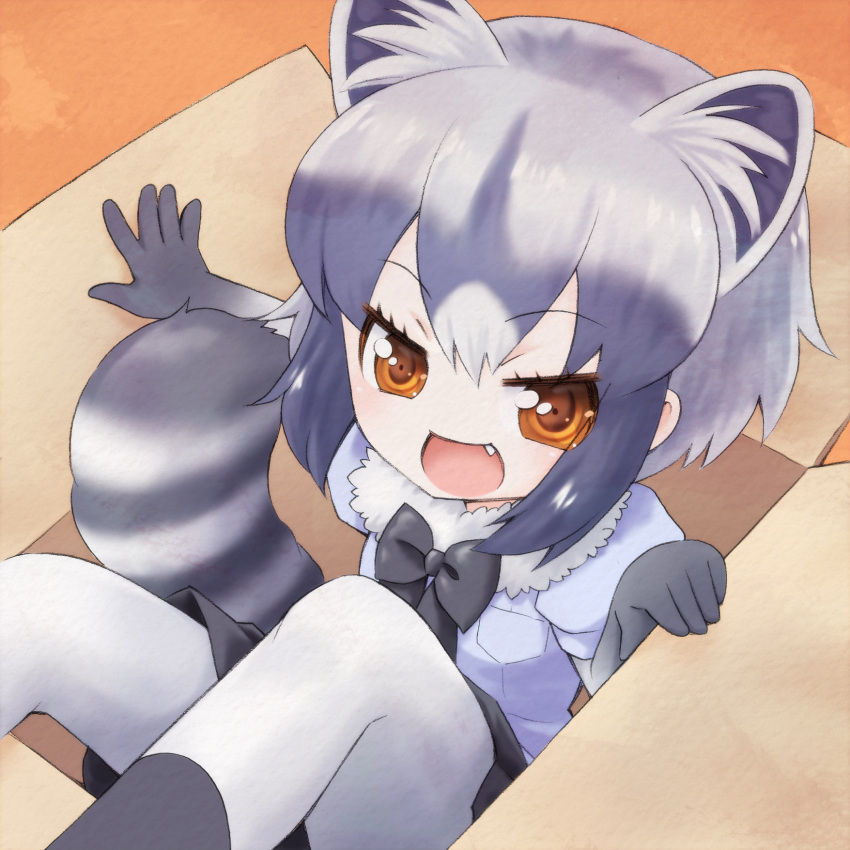 1girl :d animal_ear_fluff animal_ears black_neckwear black_skirt bow bowtie box brown_eyes cardboard_box commentary common_raccoon_(kemono_friends) elbow_gloves extra_ears eyebrows_visible_through_hair eyes_visible_through_hair fang fur_trim gloves grey_hair highres in_box in_container kemono_friends looking_at_viewer multicolored_hair open_mouth pantyhose puffy_short_sleeves puffy_sleeves raccoon_ears raccoon_tail short_hair short_sleeves skirt smile solo tail white_hair white_legwear xxsaakoxx