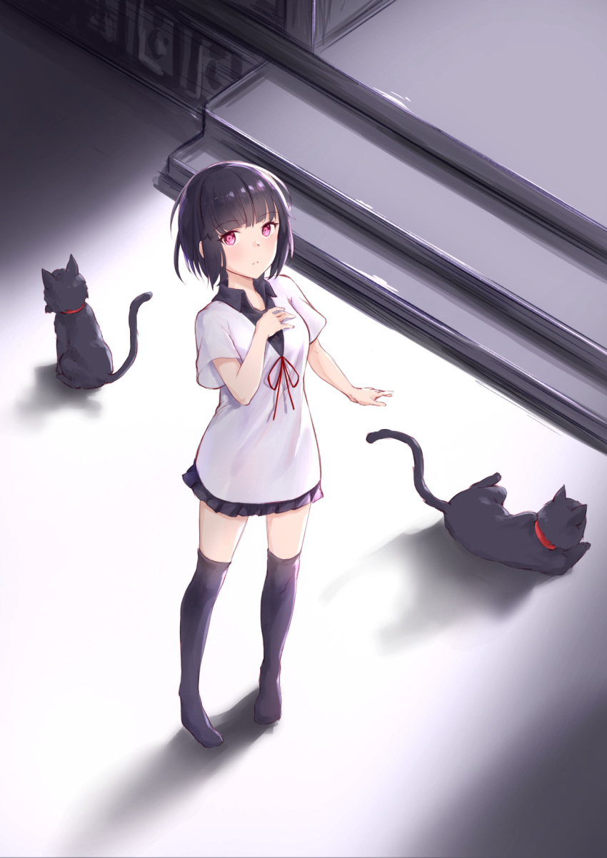 1girl animal bangs black_cat black_hair black_legwear blush breasts cat closed_mouth commentary_request dress eyebrows_visible_through_hair frilled_dress frills hand_on_own_chest hand_up highres jilu neck_ribbon no_shoes original pigeon-toed red_eyes red_ribbon ribbon short_hair short_sleeves small_breasts solo stairs standing thigh-highs white_dress