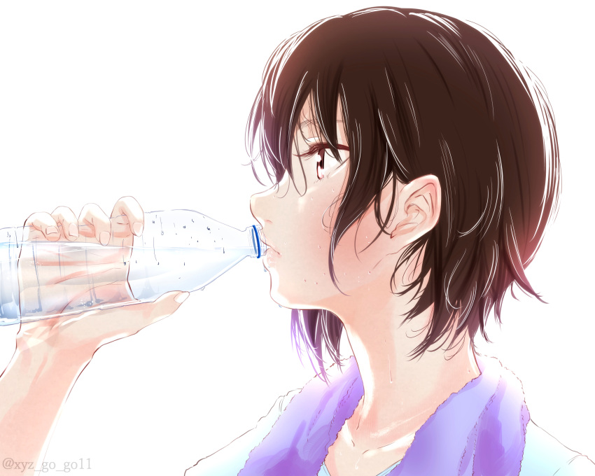1girl bangs bottle brown_eyes brown_hair commentary drinking from_side girls_und_panzer highres holding holding_bottle lips nishizumi_maho oze_(xyz_go_go11) portrait purple_towel shirt short_hair solo sweat t-shirt towel towel_around_neck water_bottle white_shirt