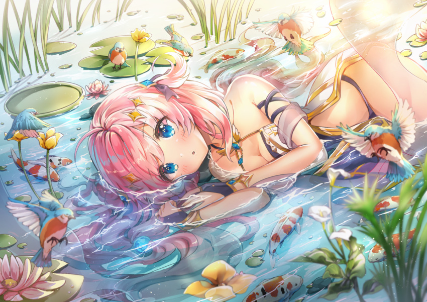 1girl :o ahoge animal bare_shoulders bird black_panties blue_eyes blurry blurry_foreground blush breasts cleavage collarbone depth_of_field dress fish flower hair_ornament king's_raid koi lily_pad long_hair looking_at_viewer lying medium_breasts melings_(aot2846) on_side panties parted_lips partially_submerged pelvic_curtain pink_hair shea_(king's_raid) solo strapless strapless_dress underwear water white_dress yellow_flower