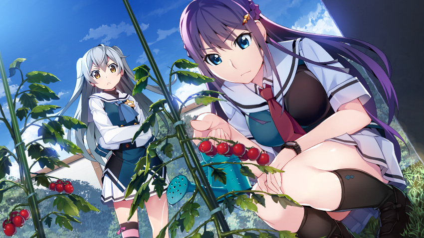2girls ascot black_footwear black_legwear blue_eyes blue_neckwear blue_sky clouds collared_shirt crossed_arms day dutch_angle game_cg grisaia_(series) grisaia_phantom_trigger hair_ornament hand_on_own_knee highres kneehighs loafers long_hair miniskirt multiple_girls necktie official_art outdoors pleated_skirt purple_hair red_neckwear sailor_collar school_uniform shiny shiny_hair shirt shoes short_sleeves silver_hair single_hair_intake skirt sky sleeves_past_fingers sleeves_past_wrists squatting standing twintails v-shaped_eyebrows very_long_hair watanabe_akio watch watch white_sailor_collar white_shirt white_skirt wing_collar