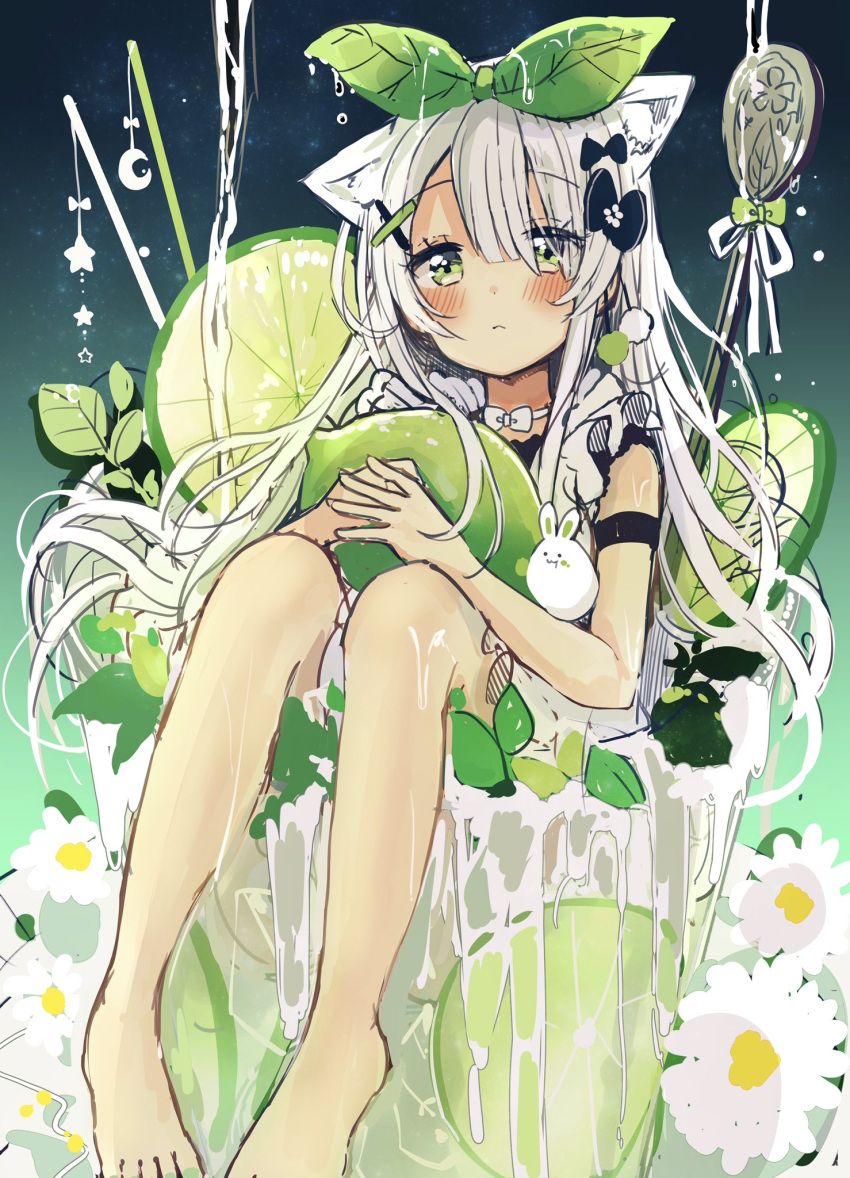 1girl animal_ear_fluff animal_ears bangs barefoot black_bow blush bow cat_ears closed_mouth commentary_request crescent cup dress drink drinking_glass eyebrows_visible_through_hair flower green_bow green_eyes green_ribbon hair_between_eyes hair_bow hair_ornament hair_ribbon hairclip highres lime_slice long_hair looking_at_viewer minigirl object_hug original ribbon sakura_oriko sitting sleeveless sleeveless_dress solo star very_long_hair white_dress white_flower white_hair white_ribbon x_hair_ornament