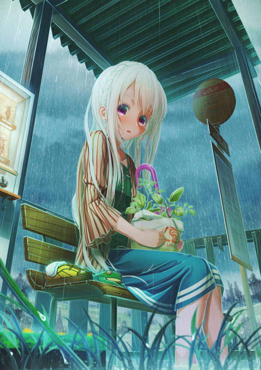 1girl :o abo_(kawatasyunnnosukesabu) animal bangs bench blue_skirt braid brown_jacket bus_stop commentary_request crown_braid frog grass green_shirt highres insect_collection jacket long_hair looking_at_viewer original outdoors overcast plant potted_plant rain shirt shoes shoes_removed sign sitting skirt soaking_feet socks socks_removed solo striped umbrella very_long_hair violet_eyes white_hair yellow_footwear