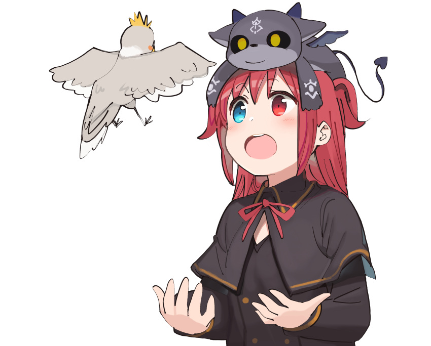 1girl :o animal bangs bird black_cape black_dress blue_eyes blush cape creature dress eyebrows_visible_through_hair hair_between_eyes heterochromia highres kasa_list long_hair long_sleeves looking_at_animal looking_away neck_ribbon nijisanji on_head open_mouth red_eyes red_ribbon redhead ribbon round_teeth simple_background sleeves_past_wrists solo teeth two_side_up upper_body upper_teeth virtual_youtuber white_background yuzuki_roa