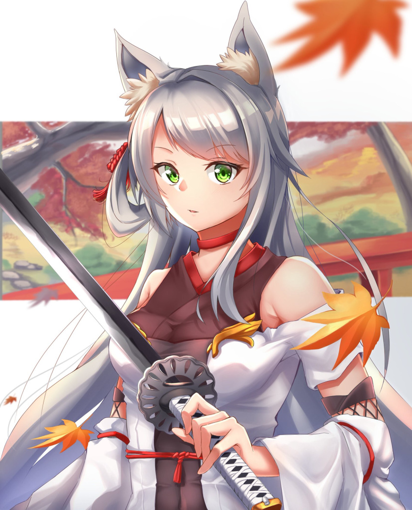 1girl animal_ear_fluff animal_ears aogiri55817yasd autumn_leaves bangs breasts choker commentary_request detached_sleeves expressionless eyebrows_visible_through_hair fox_ears green_eyes hair_ornament highres holding holding_sword holding_weapon japanese_clothes katana kimono leaf leotard long_hair looking_at_viewer maple_leaf medium_breasts miko nontraditional_miko original outdoors parted_lips red_choker shiny shiny_hair silver_hair solo standing swept_bangs sword torii tree_branch upper_body very_long_hair weapon