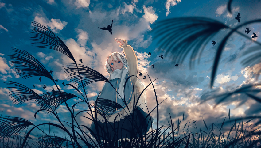 1girl absurdres arm_up bangs bird black_skirt blue_eyes blue_sky clouds cloudy_sky commentary_request feet_out_of_frame frilled_sleeves frills grass highres jacket kotomi_alpaca lace_trim long_sleeves medium_hair open_mouth original outdoors outstretched_arm plant scarf scenery skirt sky solo white_hair white_scarf wide_shot yellow_jacket