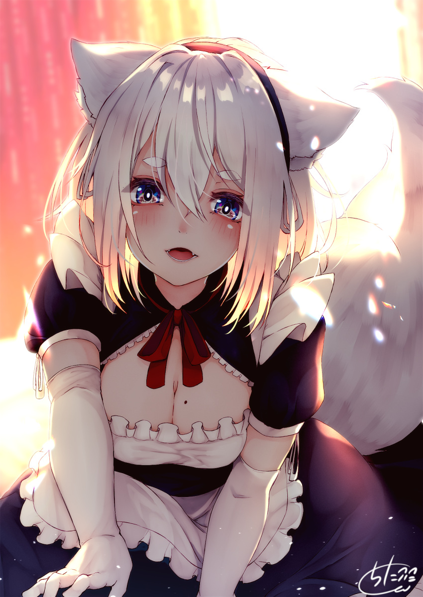 1girl :d animal_ear_fluff animal_ears apron backlighting bangs black_dress black_hairband blue_eyes blurry blurry_background breasts chita_(ketchup) cleavage depth_of_field dress elbow_gloves eyebrows_visible_through_hair fangs fox_ears fox_girl fox_tail frilled_apron frills gloves hair_between_eyes hairband highres leaning_forward long_hair maid medium_breasts mole mole_on_breast neck_ribbon open_mouth original puffy_short_sleeves puffy_sleeves red_ribbon ribbon short_sleeves signature silver_hair smile solo tail tail_raised waist_apron white_apron white_gloves