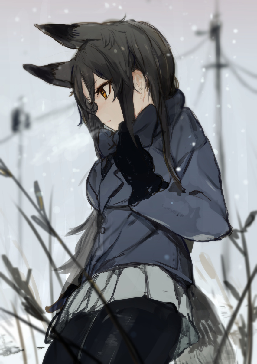 1girl absurdres animal_ears black_gloves black_legwear black_neckwear blue_bow blue_jacket blurry blurry_background bow closed_mouth clouds cloudy_sky commentary cowboy_shot day depth_of_field extra_ears fox_ears fox_tail from_side gloves grass grey_hair grey_skirt grey_sky highres hiranko jacket kemono_friends long_hair long_sleeves necktie orange_eyes outdoors pantyhose pleated_skirt power_lines profile silver_fox_(kemono_friends) skirt sky snow snowing solo standing tail telephone_pole