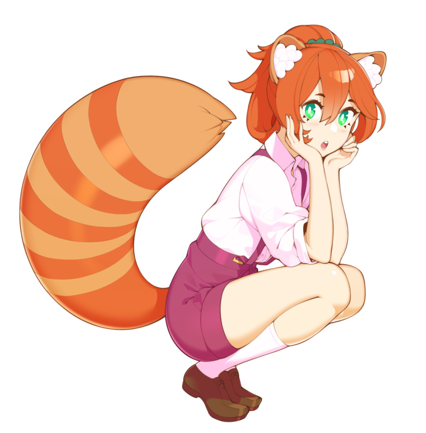 1girl :o animal_ear_fluff animal_ears brown_footwear commission elbows_on_knees full_body green_eyes halphelt high_ponytail highres looking_at_viewer medium_hair orange_hair original pink_shorts shirt shorts simple_background socks solo squatting suspenders tail white_background white_legwear white_shirt