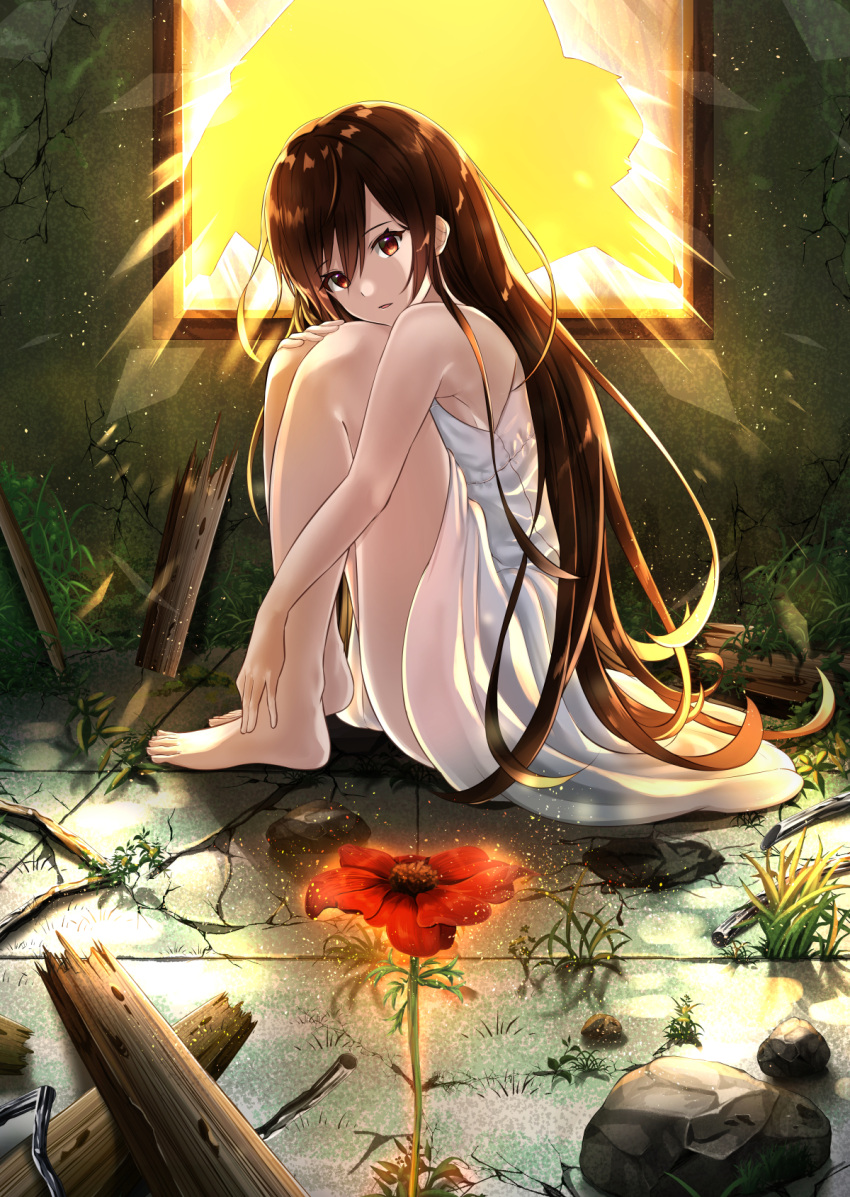 1girl bangs bare_arms barefoot broken_window brown_eyes brown_hair commentary_request dress eyebrows_visible_through_hair flower from_side full_body gakuon_(gakuto) hair_between_eyes highres indoors knees_up leg_hug long_hair looking_at_viewer on_floor open_mouth original overgrown ruins sitting sleeveless sleeveless_dress solo sunlight very_long_hair white_dress