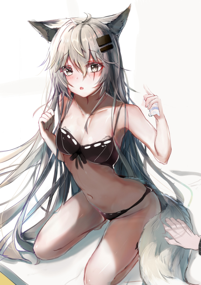 1girl absurdres animal_ear_fluff animal_ears arknights bangs black_bra black_panties blush bow bow_bra bra brown_eyes eyebrows_visible_through_hair fang groin hair_between_eyes hair_ornament hairclip hands_up highres holding kneeling lappland_(arknights) leaning_forward long_hair looking_at_viewer navel panties parted_lips scar scar_across_eye silver_hair solo_focus tail underwear underwear_only very_long_hair white_background yue_(qtxyjiang)