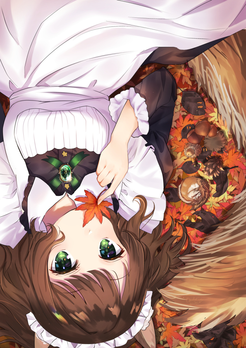 1girl acorn animal_ears apron autumn_leaves bangs black_dress brooch brown_hair collared_dress commentary_request covered_mouth dress eyebrows_visible_through_hair green_eyes highres holding holding_leaf jewelry juliet_sleeves leaf long_hair long_sleeves lying maid maid_apron maid_headdress maple_leaf omelet_tomato on_back original pinecone puffy_sleeves solo squirrel_ears squirrel_girl squirrel_tail tail white_apron