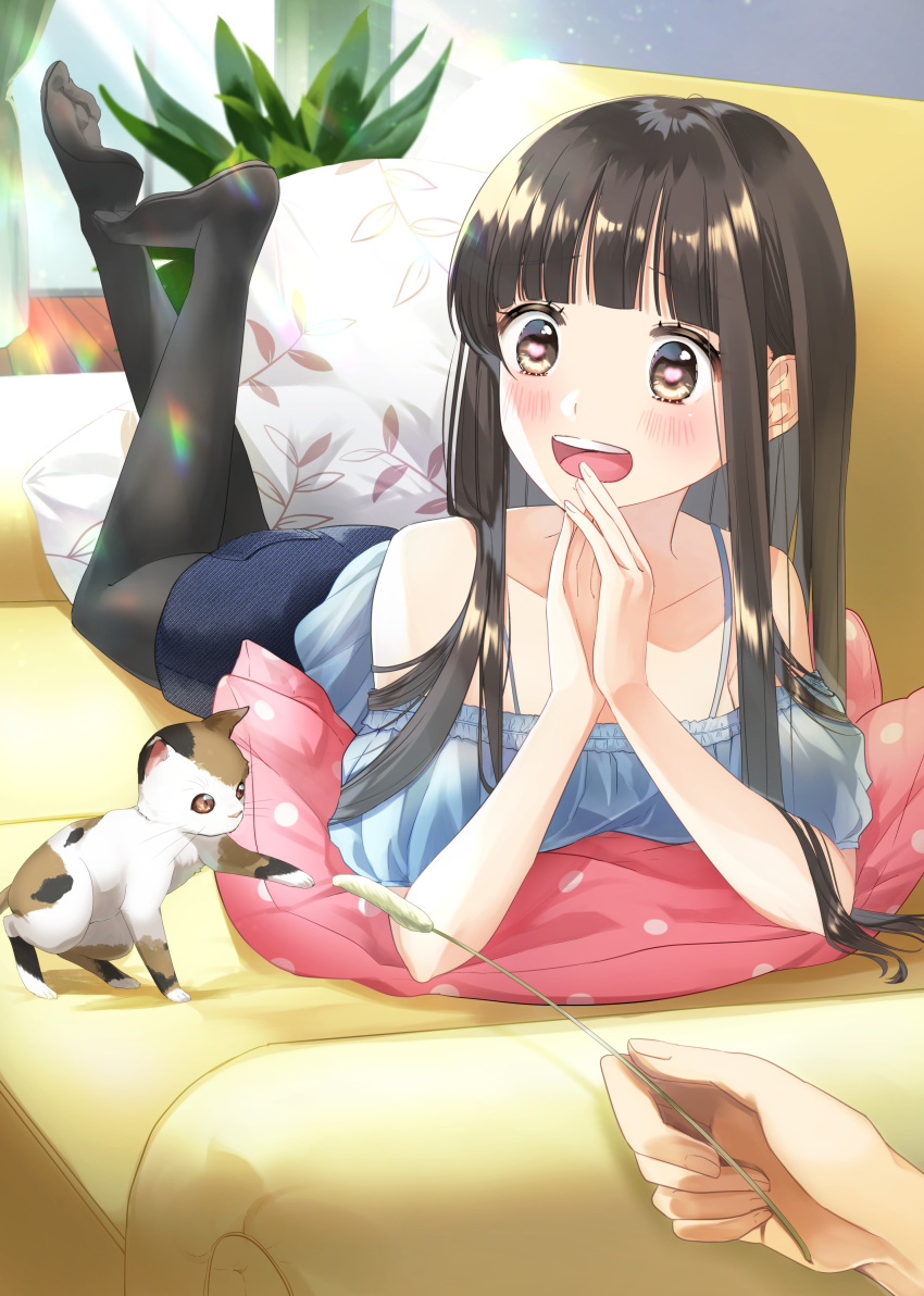 1girl absurdres bangs black_eyes black_hair black_legwear blunt_bangs blush cat couch denim denim_shorts hands highres hitsuji_kumo indoors long_hair looking_at_viewer no_shoes original pantyhose pillow plant short_sleeves shorts smile solo_focus very_long_hair wooden_floor