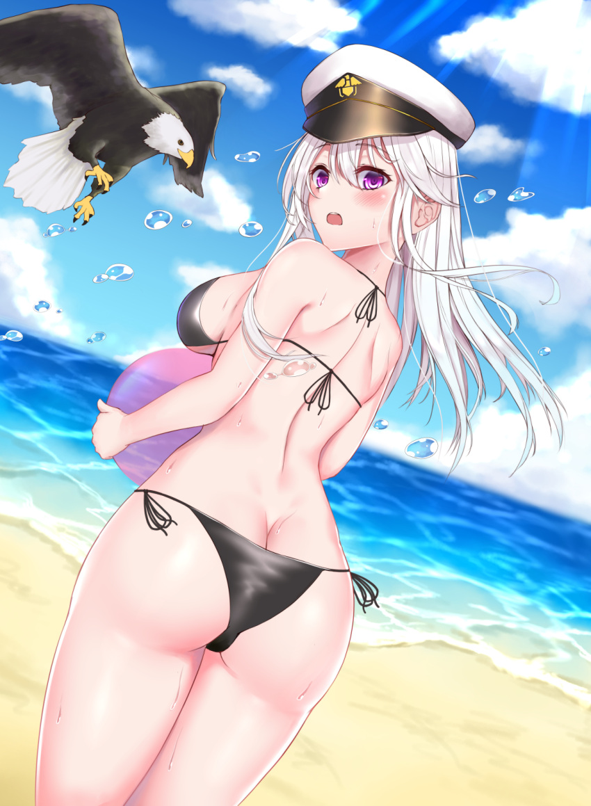 1girl akashiro_yurisu alternate_costume ass azur_lane back bald_eagle beach bikini bird black_bikini blush breasts butt_crack clouds cloudy_sky day droplet dutch_angle eagle enterprise_(azur_lane) eyebrows_visible_through_hair from_behind hair_between_eyes hat highres long_hair looking_at_viewer looking_back medium_breasts military_hat ocean open_mouth outdoors side-tie_bikini sideboob silver_hair sky solo sunlight swimsuit violet_eyes wet white_headwear