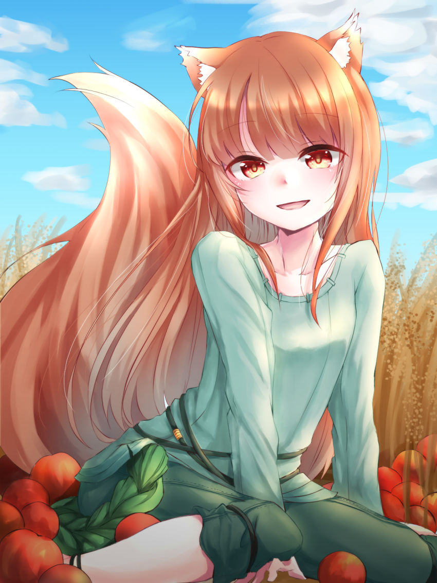 1girl animal_ears apple blue_sky blush brown_hair day food fruit green_skirt highres holo kazami-s long_hair long_sleeves looking_at_viewer open_mouth outdoors red_eyes sitting skirt sky smile solo spice_and_wolf tail wolf_ears wolf_tail