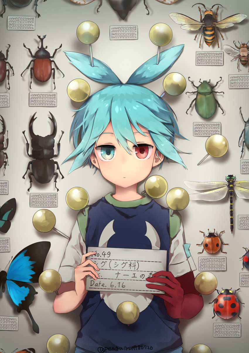 1boy :| antenna_hair beetle blue_eyes blue_hair blue_vest bug butterfly character_name closed_mouth commentary_request dragonfly expressionless heterochromia highres holding insect ladybug looking_at_viewer male_focus nara_shizuku pin puyopuyo red_eyes rhinoceros_beetle shadow shirt short_sleeves sig_(puyopuyo) solo stag_beetle translated twitter_username upper_body vest wasp